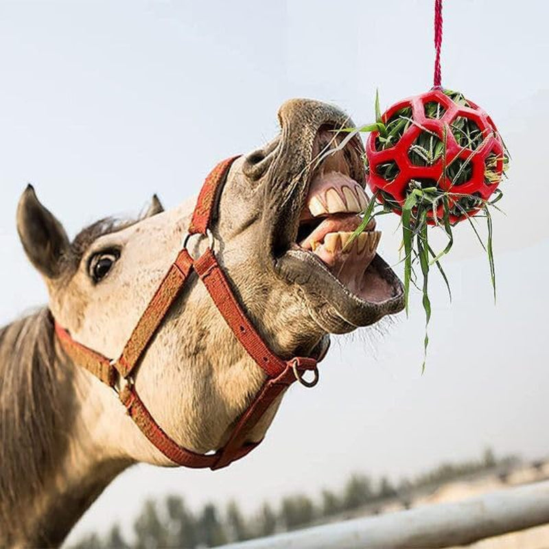 Horse Treat Ball,Goat Feeder Hanging Feeding Toy Horse Treat Hay Feeder Toy, for Horse Goat Sheep Relieve Stress (Red)