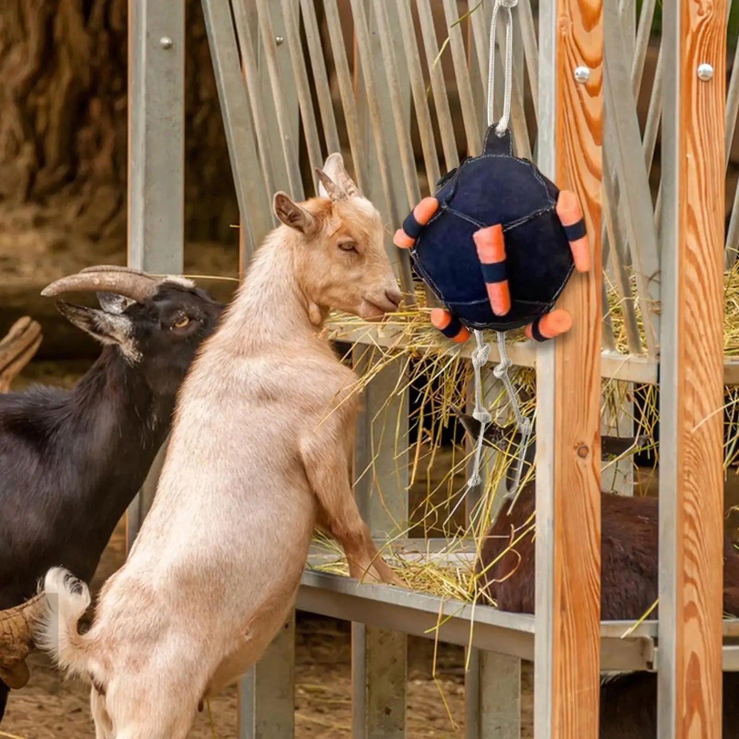 Horse Carrot Feeding Ball Toy Hay Feeder Toy Ball Hanging Feeding Toy for Horse Horse Goat Sheep Relieve Stress Horse Treat Ball
