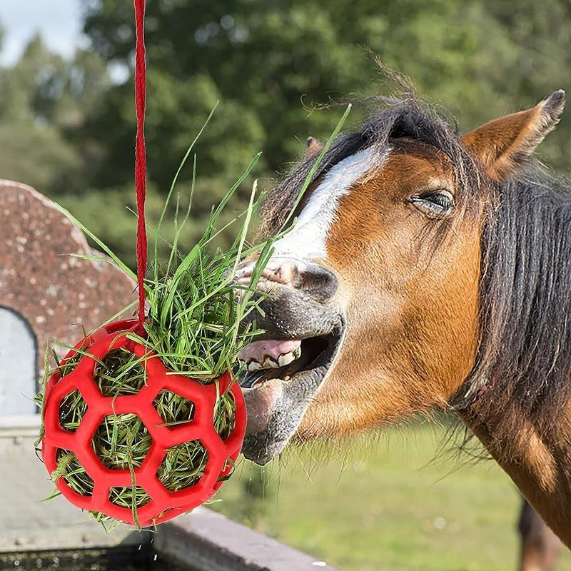 Horse Treat Ball,Goat Feeder Hanging Feeding Toy Horse Treat Hay Feeder Toy, for Horse Goat Sheep Relieve Stress (Red)